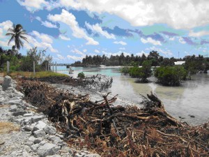 Mangrovės, tropiniai augalai, amortizuojantys potvynius ir atoslūgius saloje. Priešais jas matomos sutemptos šaknys – „barikados“ prieš kylantį vandens lygį. Metodas, kuris kol kas padeda
