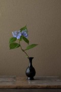 Toshiro Kawasės ikebana